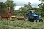 ford_tractors-2.jpg