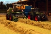 Afbeeldingen van los gras