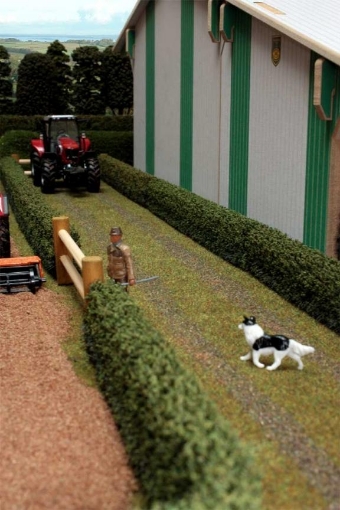 Afbeeldingen van Landweg