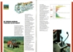 Afbeeldingen van Fiat Winner serie folder