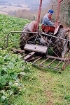 Afbeeldingen van Ferguson on the Farm part three