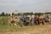 Afbeeldingen van Landwirtschaft in Frankreich 3