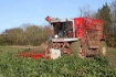 Afbeeldingen van One Farm, One year - part 2