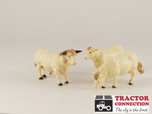 Afbeeldingen van Charolais runderen