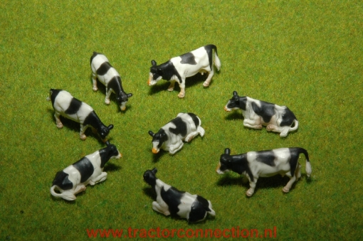 Afbeeldingen van koeien