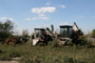 Afbeeldingen van Agriculture in Russia