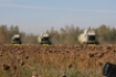 Afbeeldingen van Agriculture in Russia