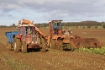 Afbeeldingen van Beet Harvesters in Britain Part 1
