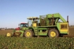 Afbeeldingen van Beet Harvesters in Britain Part 1