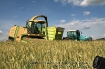 Afbeeldingen van Landwirtschaft in Deutschland