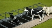 Afbeeldingen van ligboxen