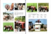 Afbeeldingen van Early Massey Ferguson implements