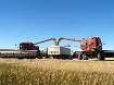 Afbeeldingen van Custom cutters