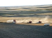 Afbeeldingen van Custom cutters