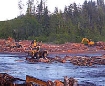 Afbeeldingen van Loggers