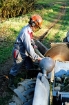 Afbeeldingen van Ferguson on the Farm part two